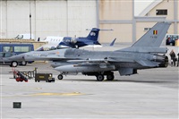 Alfonso Sols - Asociacin Canary Islands Spotting. Click to see full size photo