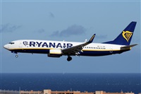 ©Alfonso Solís - Asociación Canary Islands Spotting. Click to see full size photo ©Alfonso Solís - Asociación Canary Islands Spotting. Click to see full size photo