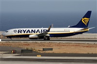 Alfonso Sols - Asociacin Canary Islands Spotting. Haz click para ampliar