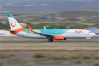Miguel A. gueda Rguez.  (CANARY ISLANDS SPOTTING). Click to see full size photo