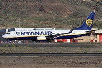 ©Alfonso Solís - Asociación Canary Islands Spotting. Click to see full size photo ©Alfonso Solís - Asociación Canary Islands Spotting. Click to see full size photo