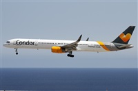 ©Alfonso Solís - Asociación Canary Islands Spotting. Click to see full size photo ©Alfonso Solís - Asociación Canary Islands Spotting. Click to see full size photo