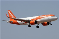 Alfonso Sols - Asociacin Canary Islands Spotting. Haz click para ampliar
