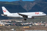 ©Adolfo Bento - Gran Canaria Spotters. Click to see full size photo ©Adolfo Bento - Gran Canaria Spotters. Click to see full size photo