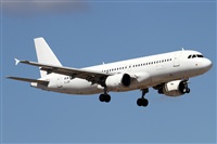 Alfonso Sols - Asociacin Canary Islands Spotting. Click to see full size photo