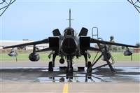 Gabriele Fontana - Tuscan Aviation. Click to see full size photo