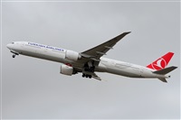Miguel A. gueda Rguez.  (CANARY ISLANDS SPOTTING). Click to see full size photo