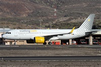 ©Alfonso Solís - Asociación Canary Islands Spotting. Click to see full size photo ©Alfonso Solís - Asociación Canary Islands Spotting. Click to see full size photo