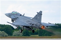 Tams. Click to see full size photo