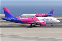 Miguel A. gueda Rguez.  (CANARY ISLANDS SPOTTING). Click to see full size photo