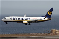 Alfonso Sols - Asociacin Canary Islands Spotting. Click to see full size photo