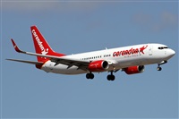©Alfonso Solís - Asociación Canary Islands Spotting. Click to see full size photo ©Alfonso Solís - Asociación Canary Islands Spotting. Click to see full size photo