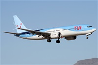 ©Alfonso Solís - Asociación Canary Islands Spotting. Click to see full size photo ©Alfonso Solís - Asociación Canary Islands Spotting. Click to see full size photo