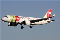 Alfonso Sols - Asociacin Canary Islands Spotting. Click to see full size photo