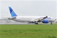 Miguel A. gueda Rguez.  (CANARY ISLANDS SPOTTING). Haz click para ampliar