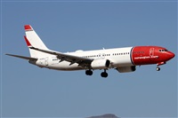 Alfonso Sols - Asociacin Canary Islands Spotting. Click to see full size photo