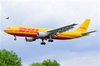 Miguel A. gueda Rguez.  (CANARY ISLANDS SPOTTING). Click to see full size photo