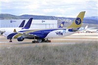 Miguel A. gueda Rguez.  (CANARY ISLANDS SPOTTING). Click to see full size photo