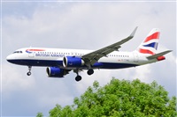 Miguel A. gueda Rguez.  (CANARY ISLANDS SPOTTING). Click to see full size photo