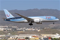 Adolfo Bento - Gran Canaria Spotters. Click to see full size photo