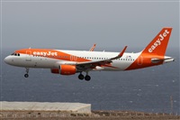 Alfonso Sols - Asociacin Canary Islands Spotting. Click to see full size photo