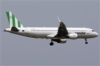 ©Román A. Pérez. Click to see full size photo ©Román A. Pérez. Click to see full size photo