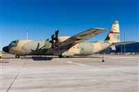 Adrian Nowakowski. Click to see full size photo