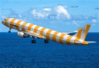 Photography JC la Palma.AIRE.org. Click to see full size photo