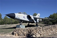 ©Javier Rodríguez. Click to see full size photo ©Javier Rodríguez. Click to see full size photo