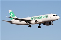 �Alfonso Sol�s - Asociaci�n Canary Islands Spotting. Click to see full size photo