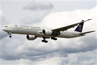 �Alfonso Sol�s - Asociaci�n Canary Islands Spotting. Click to see full size photo
