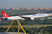 �Miguel A. �gueda Rguez.  (CANARY ISLANDS SPOTTING). Click to see full size photo
