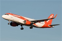 �Sergio Cambronero - Asociaci�n AIRE. Click to see full size photo