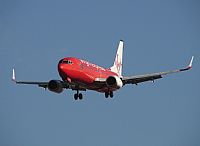 Carlos Moreira  *  PortugalSpotters.org. Click to see full size photo