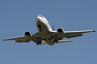 Jos Miguel Bernases - Noisy Spotters. Click to see full size photo