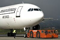 Javier de la Cruz - CANARY ISLANDS SPOTTING. Click to see full size photo