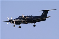 Jos Miguel Bernases - Noisy Spotters. Click to see full size photo