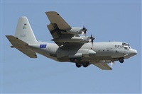 JAbreu                                                              www.portugalspotters.net. Click to see full size photo