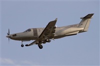 Jos Miguel Bernases - Noisy Spotters. Click to see full size photo