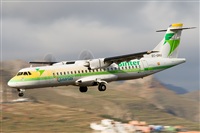 Javier de la Cruz - CANARY ISLANDS SPOTTING. Haz click para ampliar
