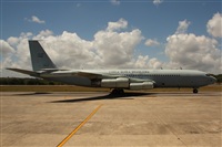 Rodrigo Carvalho - Noisy Spotters. Click to see full size photo