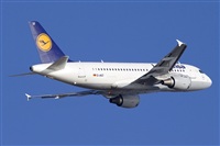 Jos Miguel Bernases - Noisy Spotters. Click to see full size photo