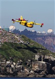 JOSE LUIS MOYA. Click to see full size photo