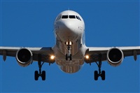 Chalo Canary Islands Spotting. Click to see full size photo