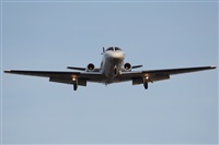 Rodrigo Carvalho - Noisy Spotters. Click to see full size photo