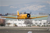 Click here to see full size photo