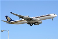 Ana L@dy Spotter. Haz click para ampliar