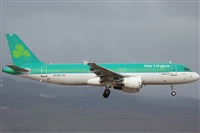 Rodrigo Carvalho - Noisy Spotters. Click to see full size photo