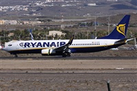 Alfonso Sols - Asociacin Canary Islands Spotting. Haz click para ampliar