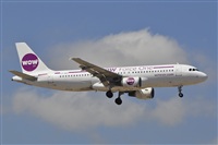 Miguel A. gueda Rguez.  (CANARY ISLANDS SPOTTING). Click to see full size photo